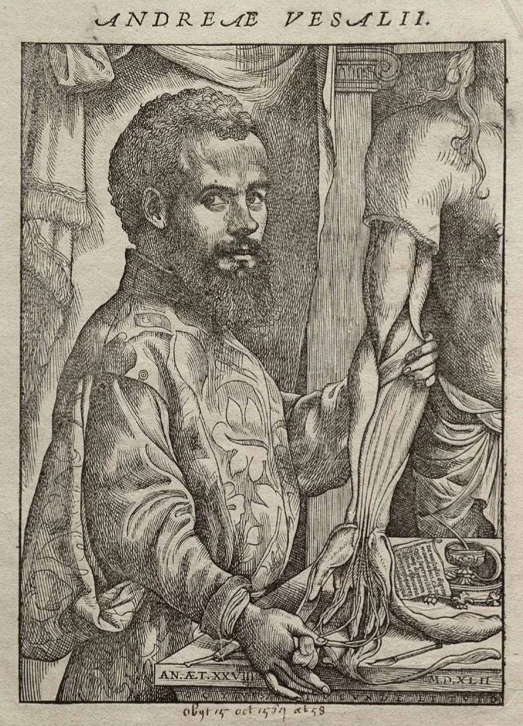 Woodcut portrait of Andreas Vesalius dissecting the muscles and tendons of a forearm.