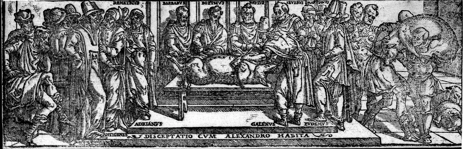 Fig. II — A pig dissection from a Renaissance edition of Galen's works. He dissected daily and told his readers to trust the opened body over any authority, his own included.` / credit: `Woodcut, Galen's Opera (Venice, Giunta, 1550) / Wellcome Collection - Public Domain Mark.