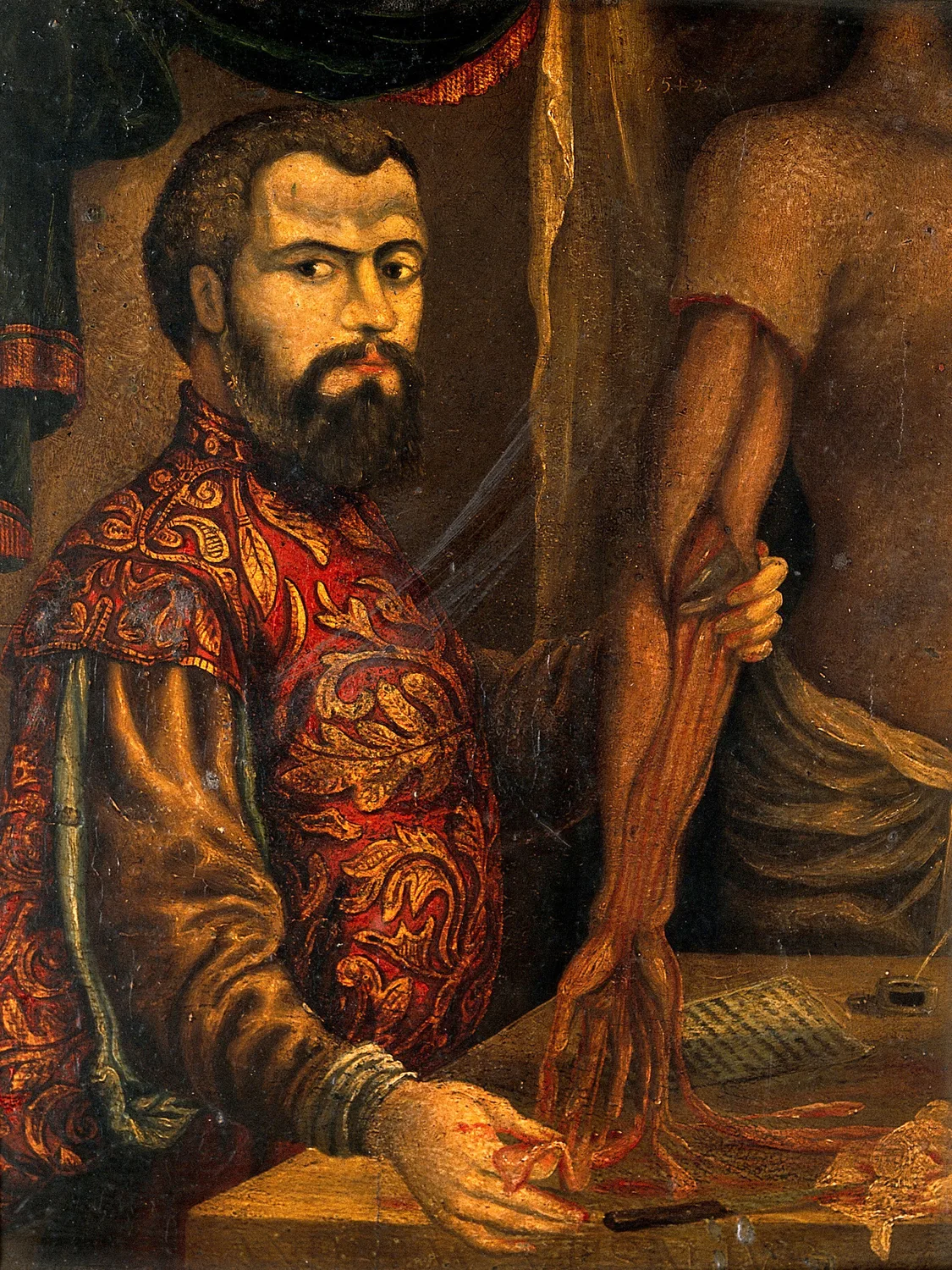 Fig. V — Andreas Vesalius (1514–1564), who in 1543 put his own hands into the body, found the heart's wall whole and the marvellous net absent, and undid Galen with Galen's own rule: go and look.` / credit: `Oil painting after the Fabrica woodcut portrait / Wellcome Collection - Public Domain Mark.