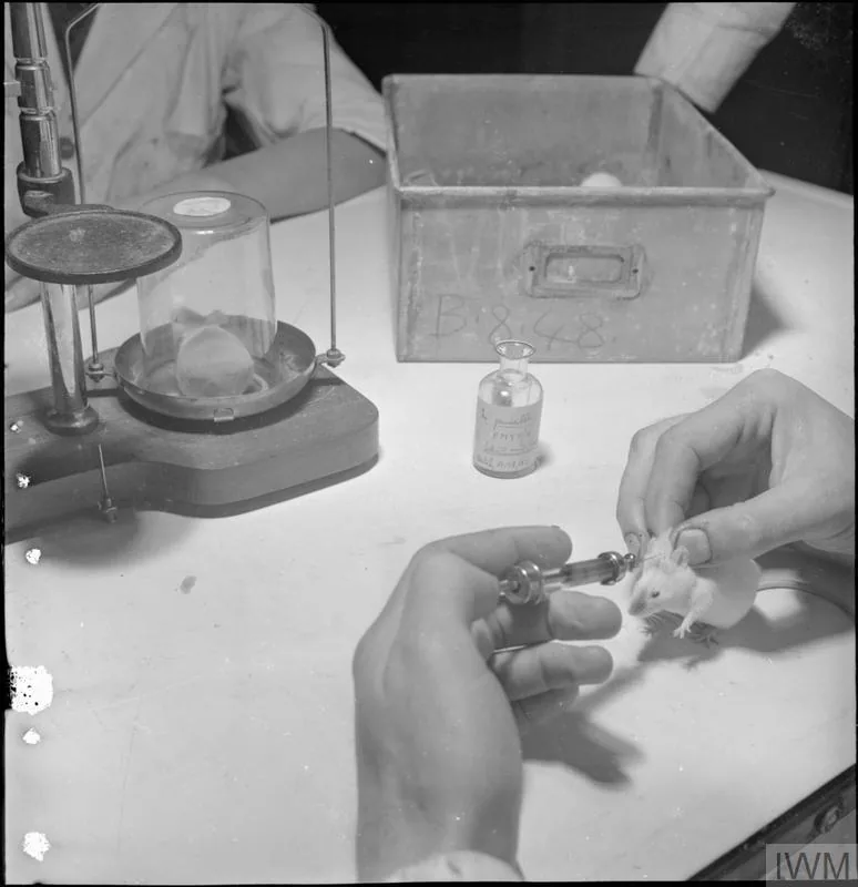 Wartime penicillin: a deep-tank fermentation plant, or a period public-information poster ("Thanks to PENICILLIN … he will come home!", Schenley/U.S., 1944 — verify rights). Many U.S. government wartime images are public domain.